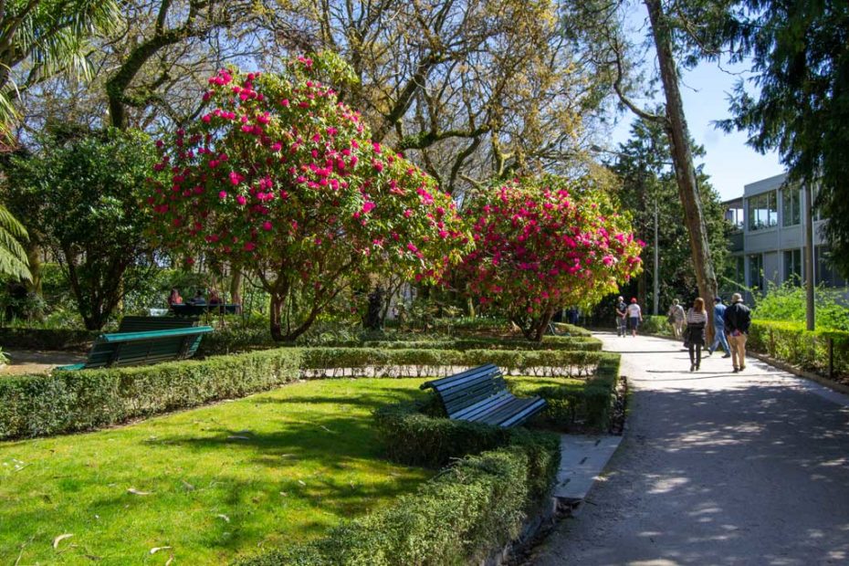 Alameda Park of Santiago de Compostela